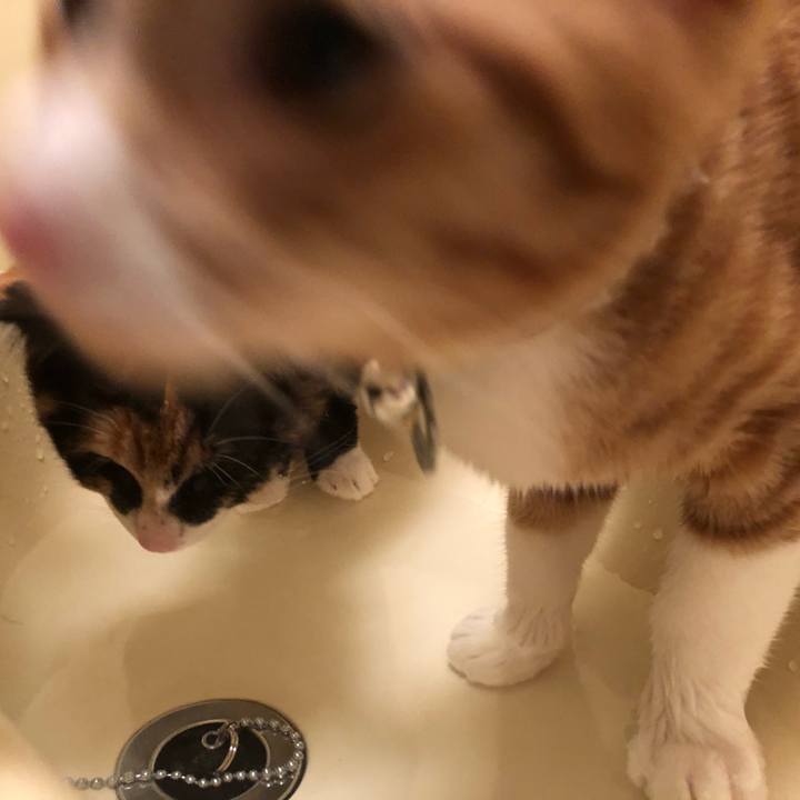 8cc26893 f8d0 4b9a a165 a0bd8bd8672c 1546864150676