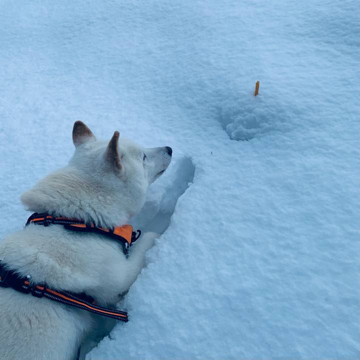 8cc29a5d 19ee 4282 926e 011c11c04e76 1670452882225