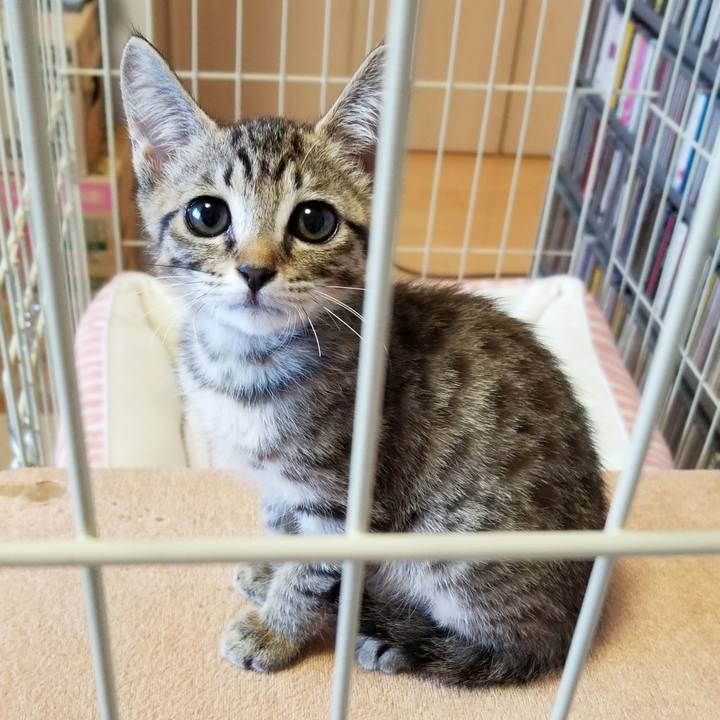 8cc2ab61 e265 4518 9fc5 85edfd04be2c 1535404410233