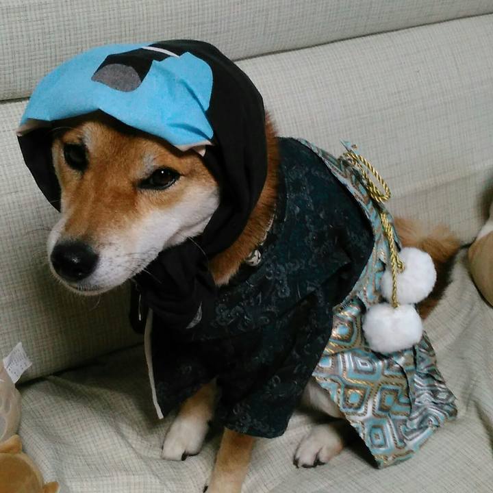 8cc2af94 82bb 455f b45b 33cdc3ad741f 1508838836944