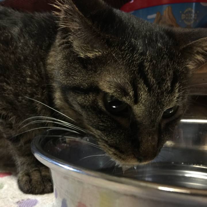 8cc2bc63 b9c8 49dd bd8b 342989084534 1534240106951