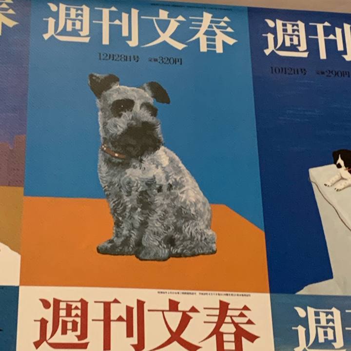 8cc2ef1e 0ceb 43b9 a5d8 f7b29023ad55 1636282362546