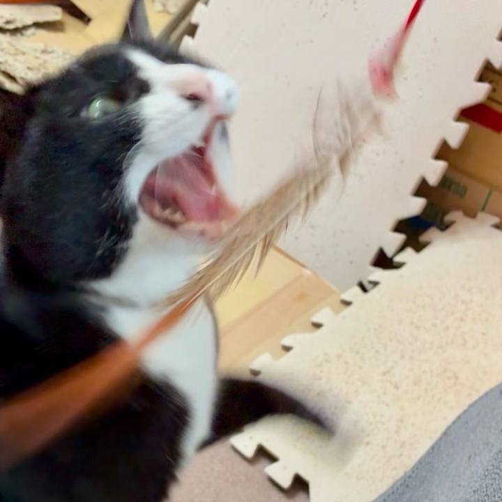 8cc2f7d7 94bb 4901 9033 6d1248ec1c0e 1744686244543