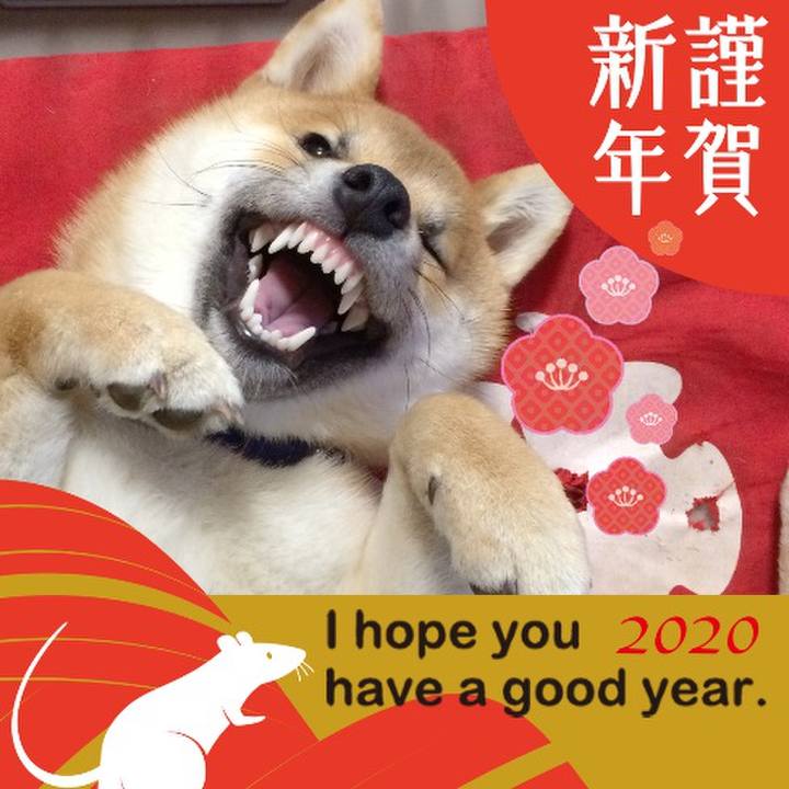 8cc30ab2 5a27 4406 9bf4 c8e290c28fb2 1577804684988