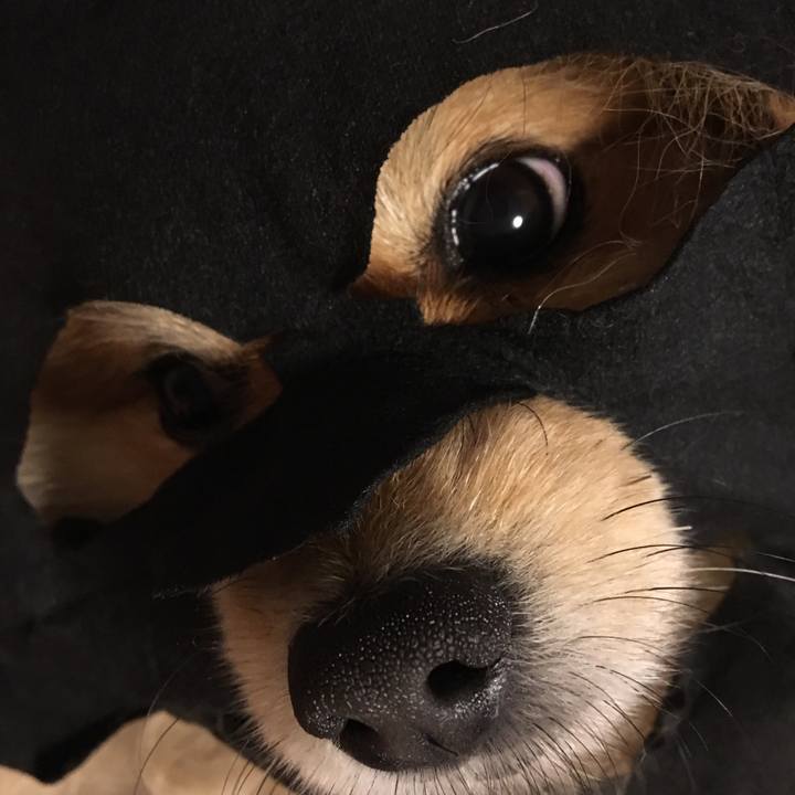 8cc30edc ab19 4775 9a91 aeb9277f832c 1546955267720