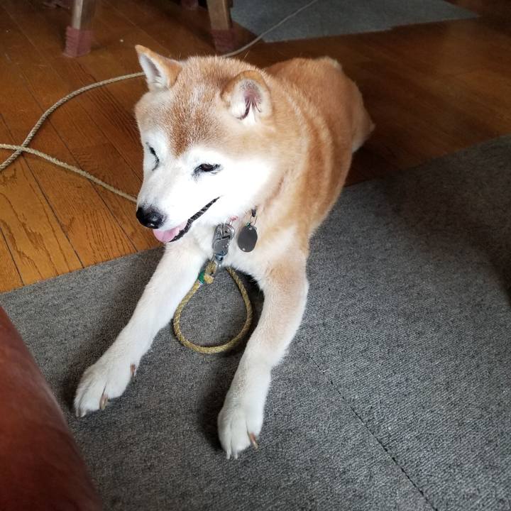 8cc314f6 b38f 434d b4c5 9e1ddb4014bd 1727064537333