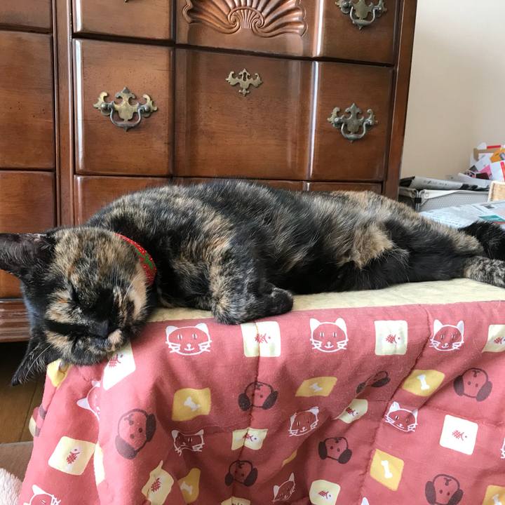 8cc32f2a 294c 4c9c 9ab4 0bf3327c6b27 1512613548289