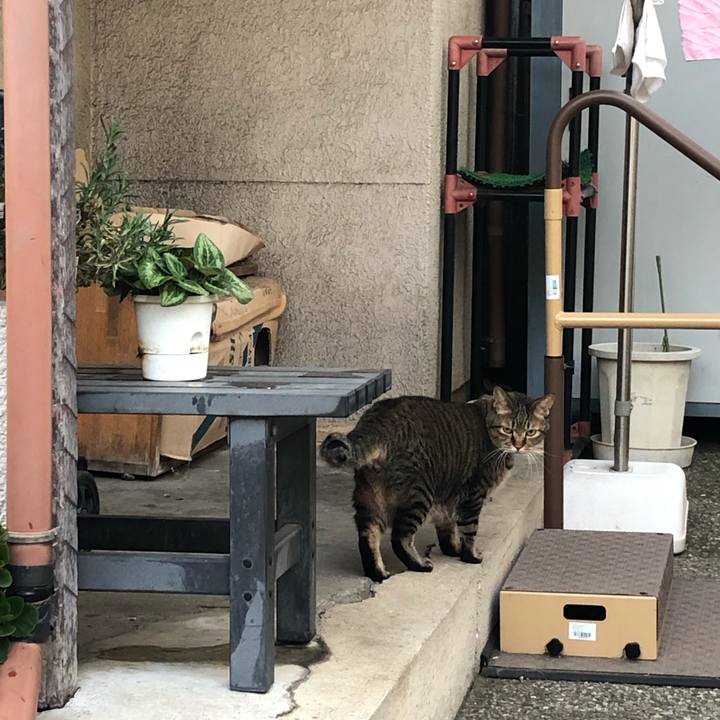 8cc36336 e556 4aab b085 111ec4a62362 1564851868737