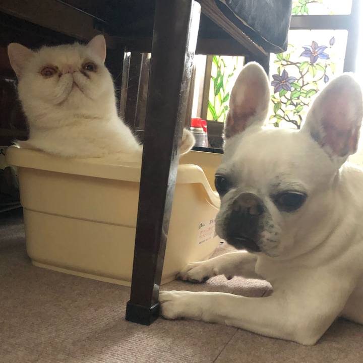 8cc392bd 141f 4ffe bca2 0c4b4ed5fd6a 1653392833223