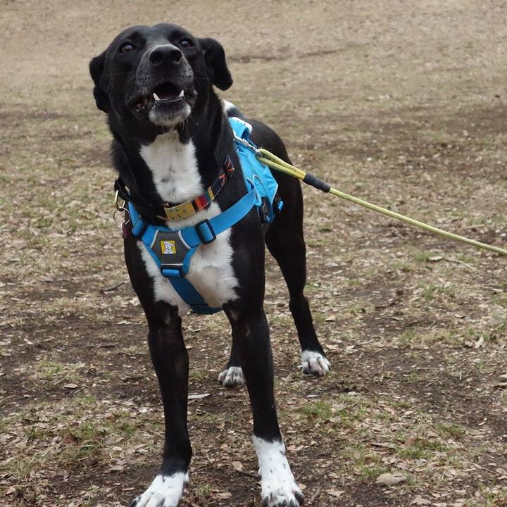 8cc3b9b8 06a8 4cca 9969 efada6415da0 1611792247108