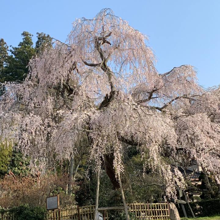 8cc3cc7b 8596 475f aa85 51a01509517e 1554507595948