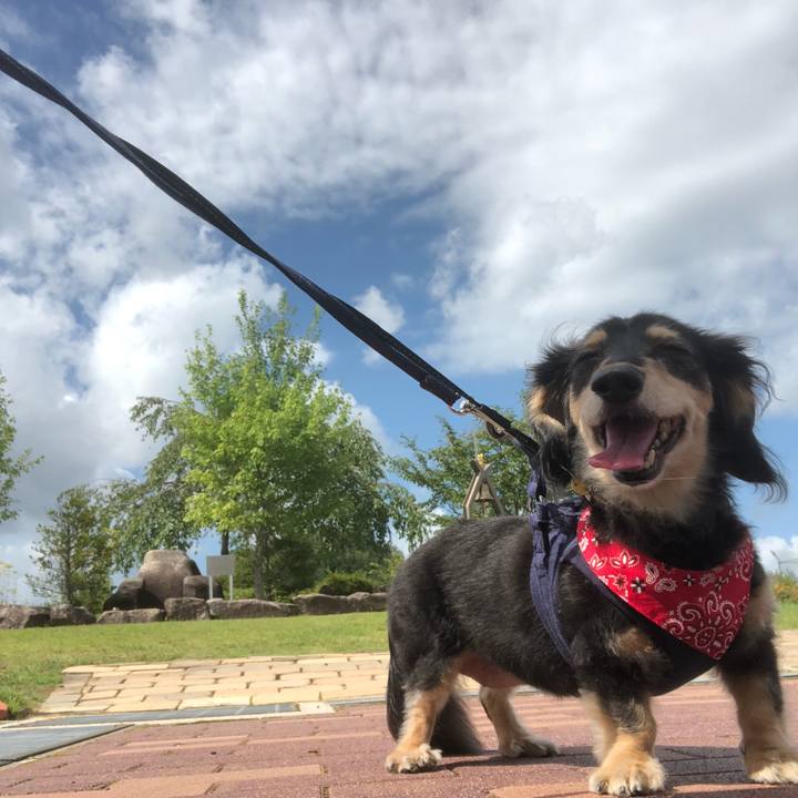 8cc3efb2 1f7f 48b8 95ba f763d8c5092c 1599527907040