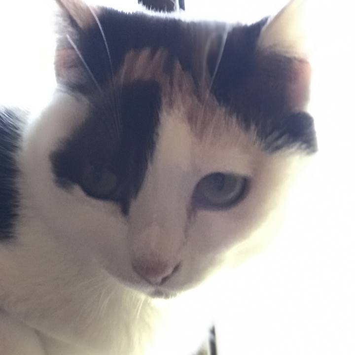 8cc3fa06 01a3 4784 a60f 883b173f1fa5 1527948416708