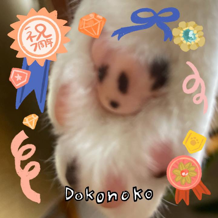 8cc43f9e 3607 41e1 98ac 429d2b5204e2 1685940270652