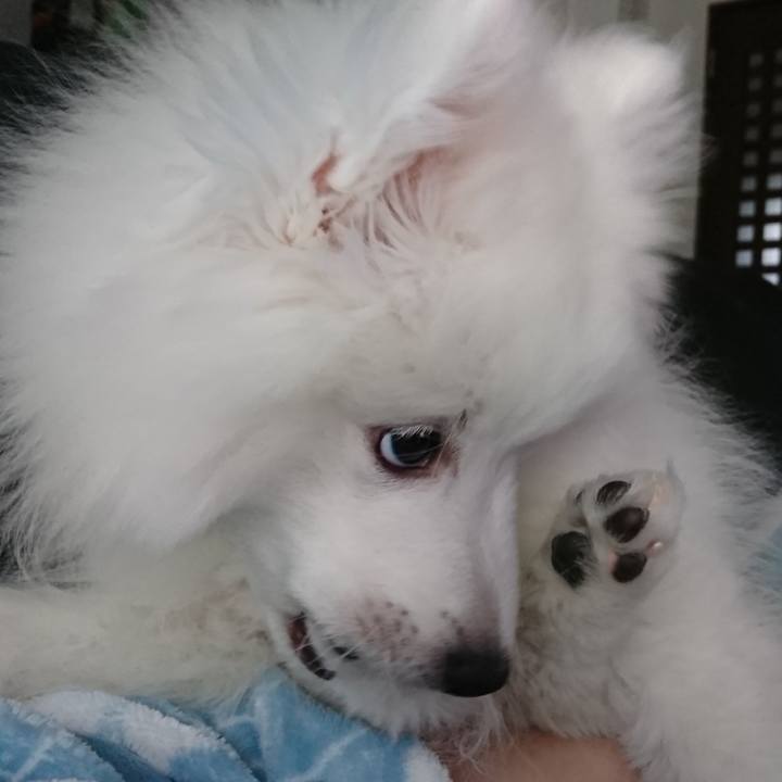 8cc48f17 dd1b 4394 9c45 f48ccbc93946 1548303793534