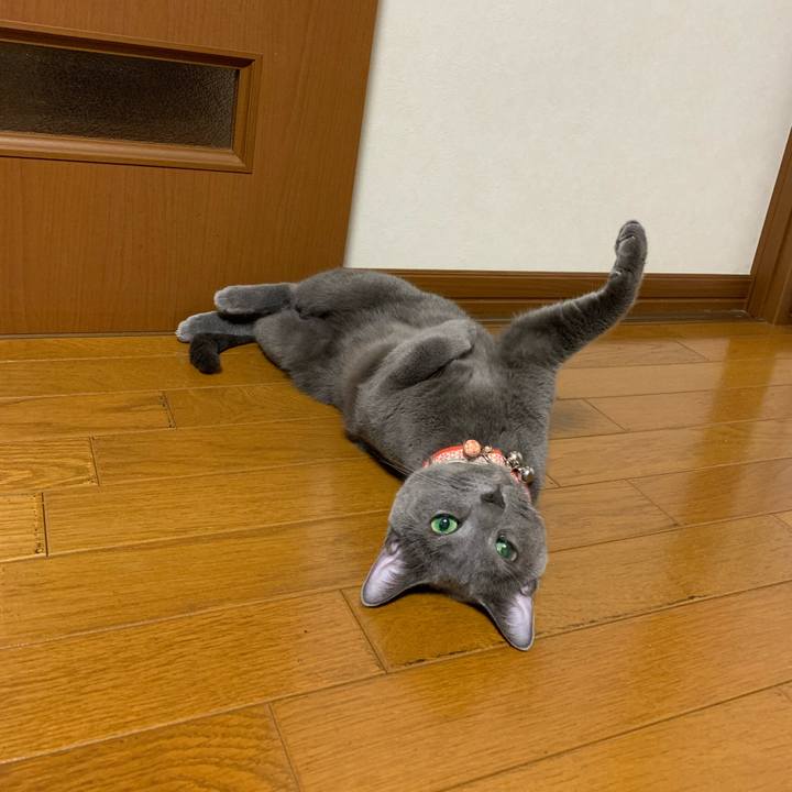 8cc4a177 705d 471f a363 2e3ef465fa64 1596203007793