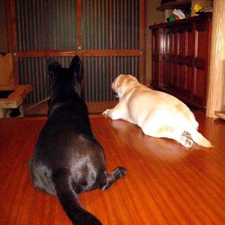 8cc4a544 192c 4081 bb56 e87b5da45620 1640278877297