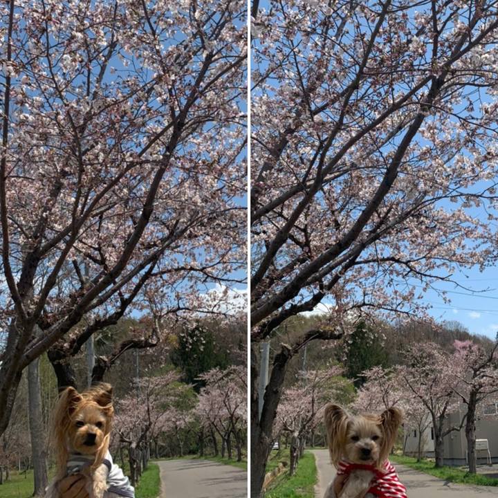 8cc4f11d 8504 480b a094 3c70d41fee9d 1620296116556