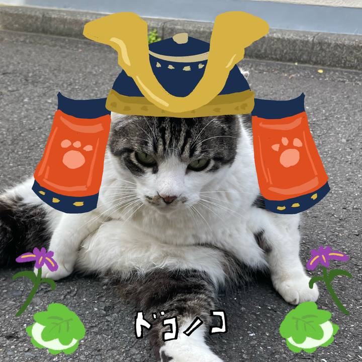 8cc4f86d 35bb 44ef 806b db508806fa1a 1714979232580