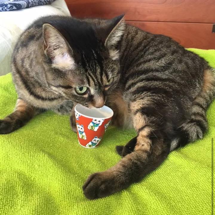 8cc4fbfb 1578 4d08 af37 321c2b23d100 1776216907966