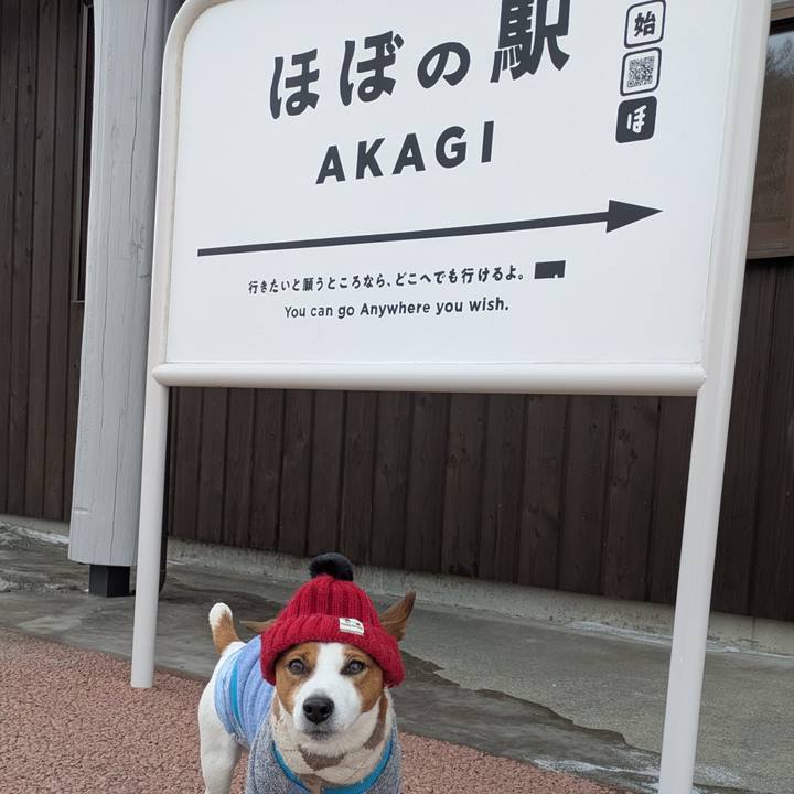 8cc50b0f 97c9 4cec 9546 670b74332663 1771562310931