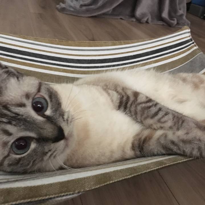 8cc51094 16b5 4c21 8661 ffc3f11674ce 1593610754221