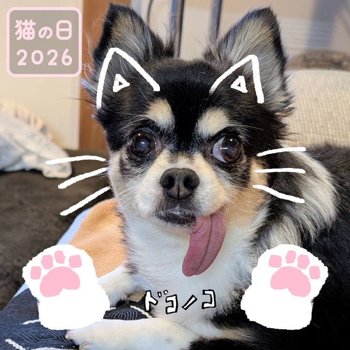 8cc5237d 827b 43ce 9709 187acd7f5baf 1771762973269