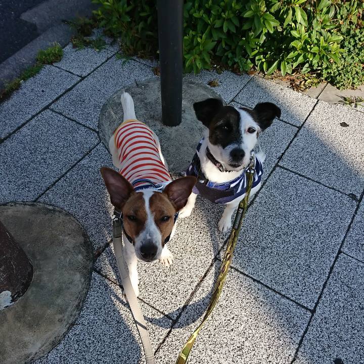 8cc52f0e c16e 4039 b2ca d2b5e1fec26b 1528062961004