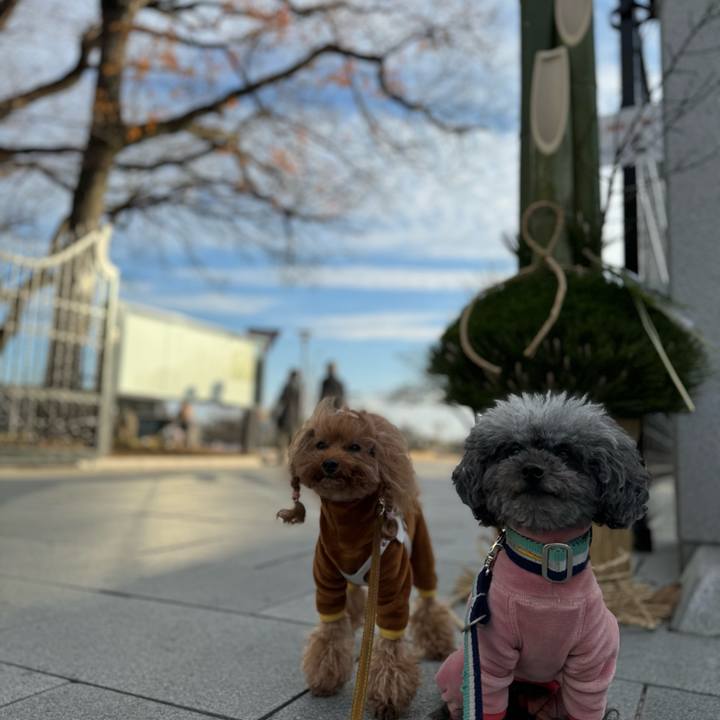 8cc56c55 4332 41f6 a280 08d611cf9751 1703718430864