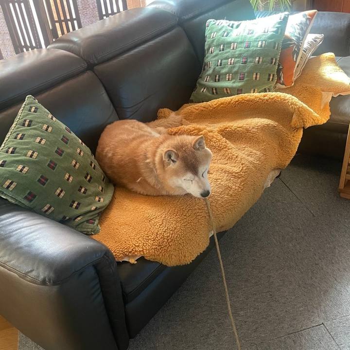 8cc58b07 ceae 45ea a49a e0b2fb89accb 1706497457289