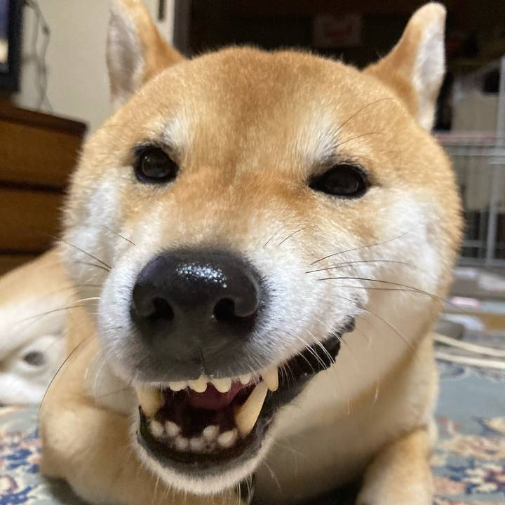 8cc5bade 0675 444a a0b2 3b220b9f537f 1618717644257