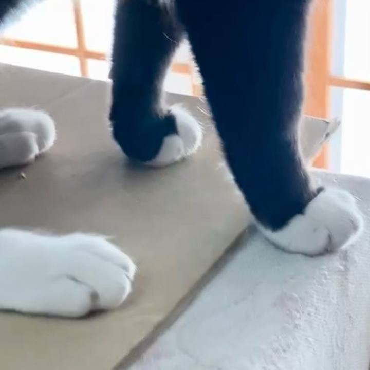 8cc5dfee 373f 41d6 8e98 35b1ef7622f1 1731386777754