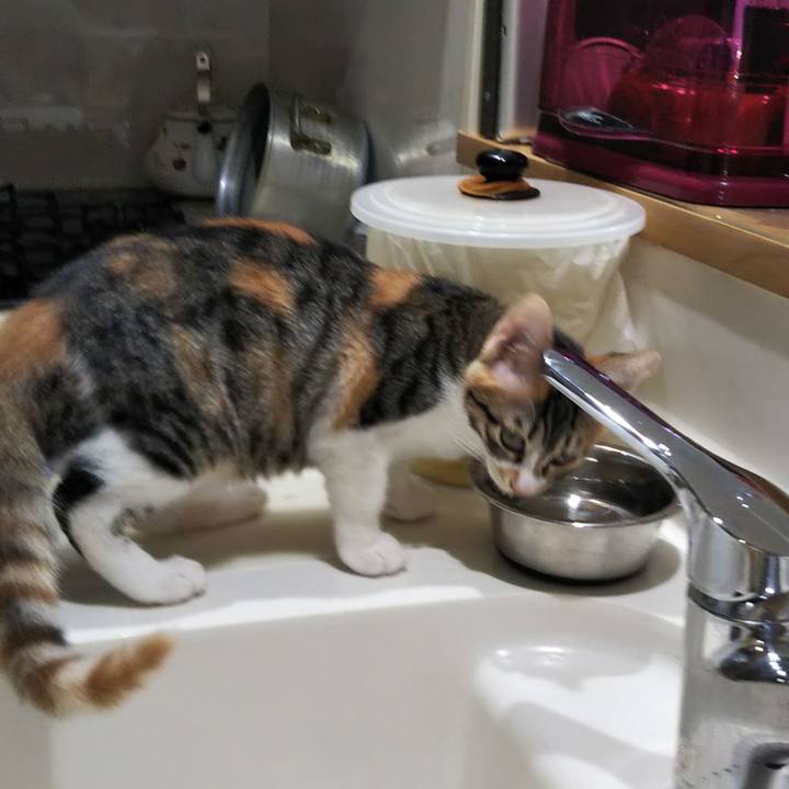 8cc5ec03 276b 48e5 9c4e 2e07c7e3ba80 1628977799999