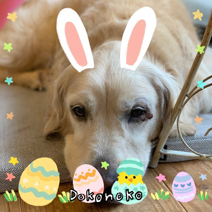 8cc61690 ac53 4e17 8c74 a0d2edc207f7 1712232269979