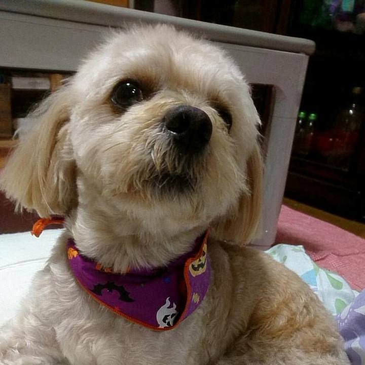 8cc63460 2d12 4bc5 a882 04a27a6f9f51 1540122738029