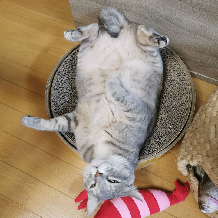 8cc67127 ba3e 4e92 a94e b940c0f7de78 1618152443306