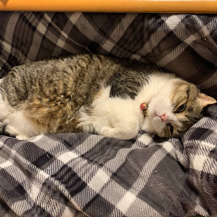 8cc6a1ba de91 42ab 8ac9 d9d099b3fbd0 1745402518847