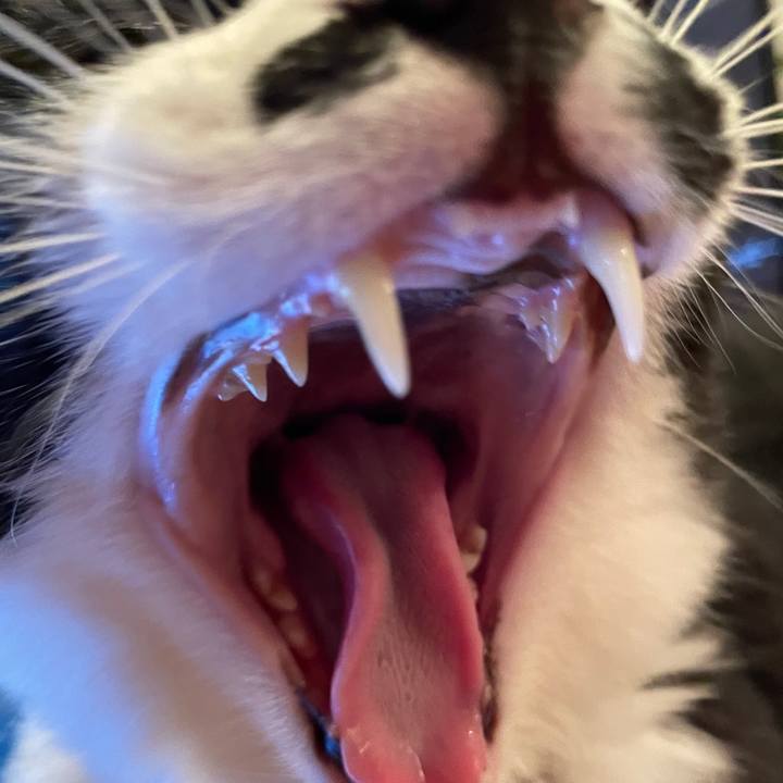 8cc6c2df 743e 4e0b 9491 6336f5b5892d 1677289727495