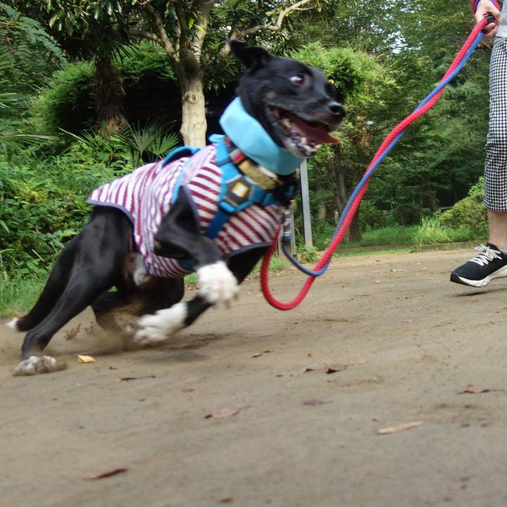 8cc6d1a4 867b 4921 b671 27f994d8a52e 1629935165173