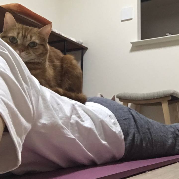 8cc6d64b ff2c 439f 94f7 86383b6ae75a 1527432004439