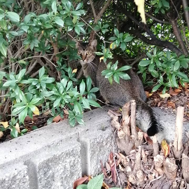 8cc6dca8 4652 406a 9de9 741934dd675b 1570534323650