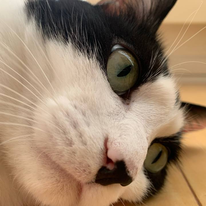 8cc6e2cd f834 43e0 8501 2ae7459ea1b9 1739581333785