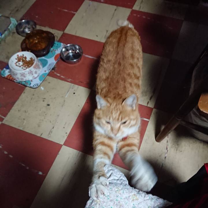 8cc6e343 62f9 4e40 bc09 9b163c108d42 1574628178483