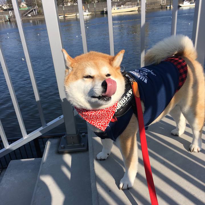 8cc6f2d2 388f 41dc 9893 8fae74a41e1a 1583024233407