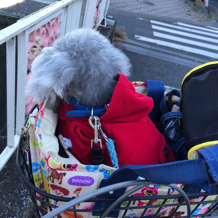 8cc70fdf b6a5 4c8c b7d7 ab459608262a 1636783474569