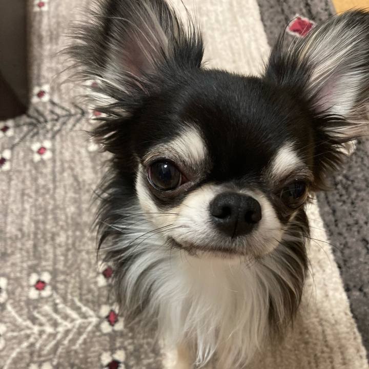 8cc7492c d3fd 4fe8 85da 393400072b38 1615036842301