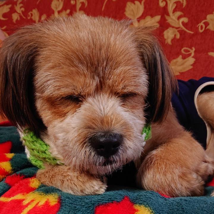 8cc75c7b 476a 4cc0 8ac4 dfbeb551f2c3 1577343275906