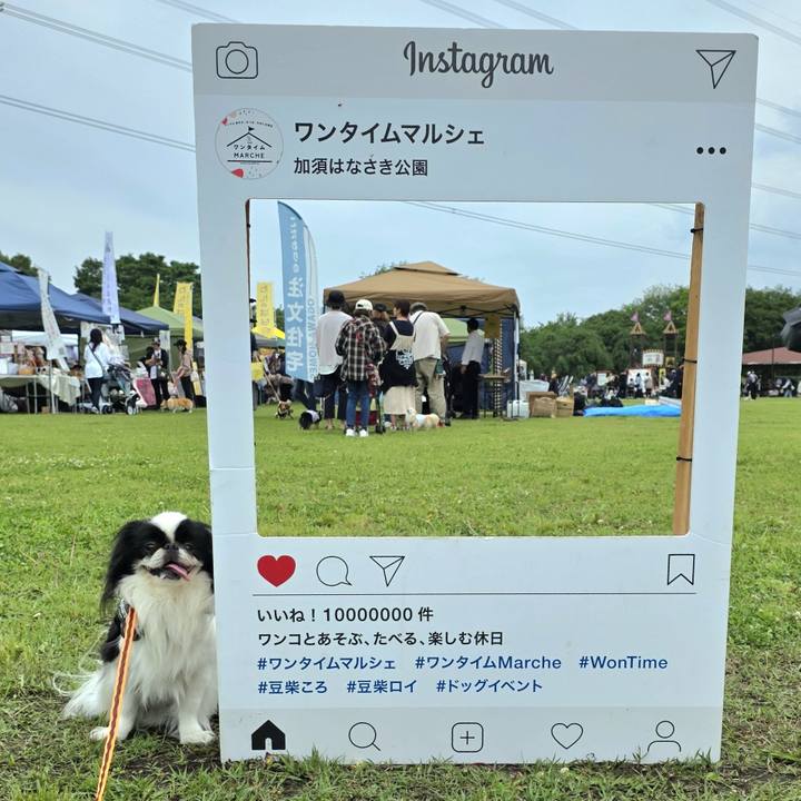 8cc76e73 6e31 4daa 8a45 4cab0eb33ac6 1748066774598