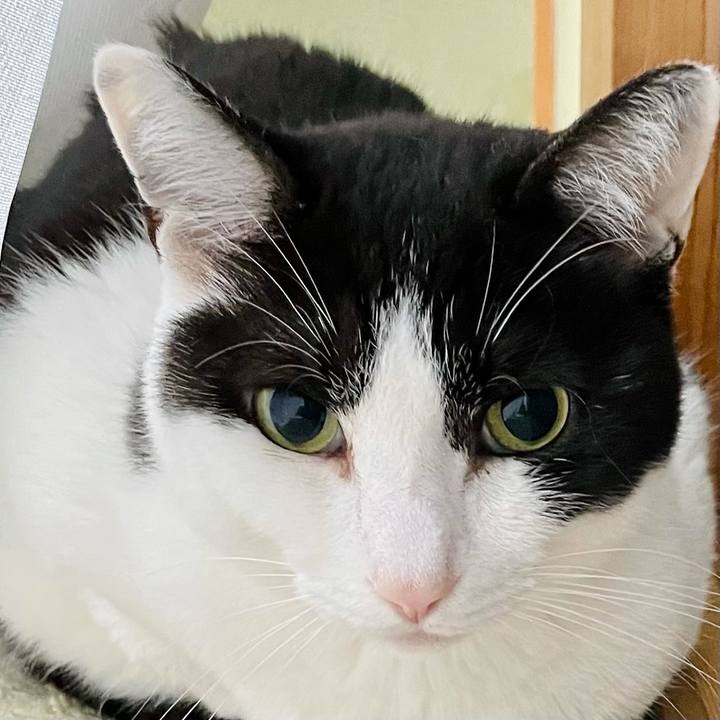 8cc7af72 c671 4445 bf8b ccc14eb546bd 1623464964021