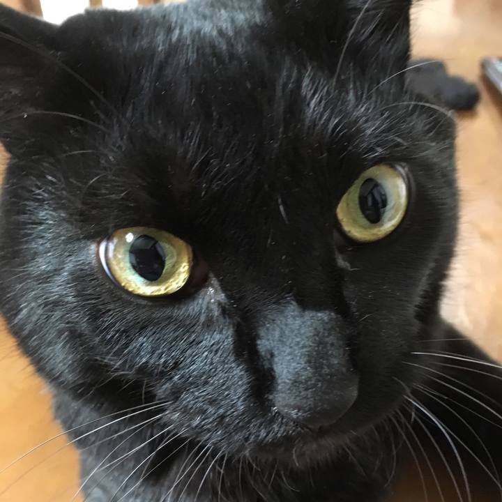 8cc815ac 001a 46c1 8015 cc0a31c4e65c 1542757717540